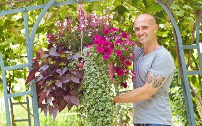 Hanging Baskets – prachtvolle Blütenkörbe fürs Freie
