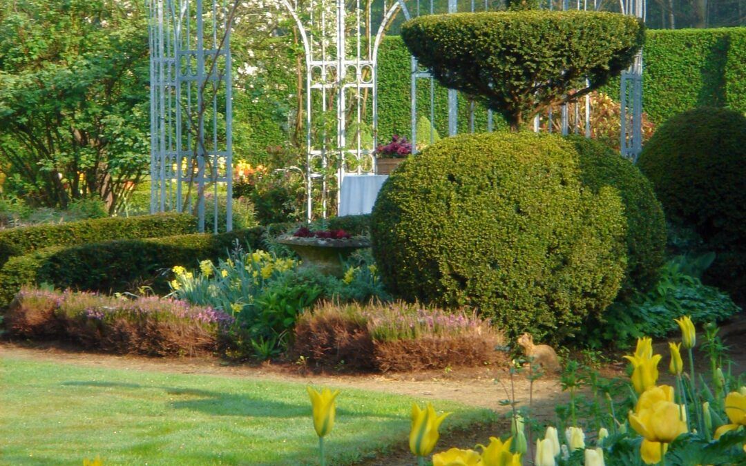 Mut zur Veränderung: Jetzt den neuen Garten planen!